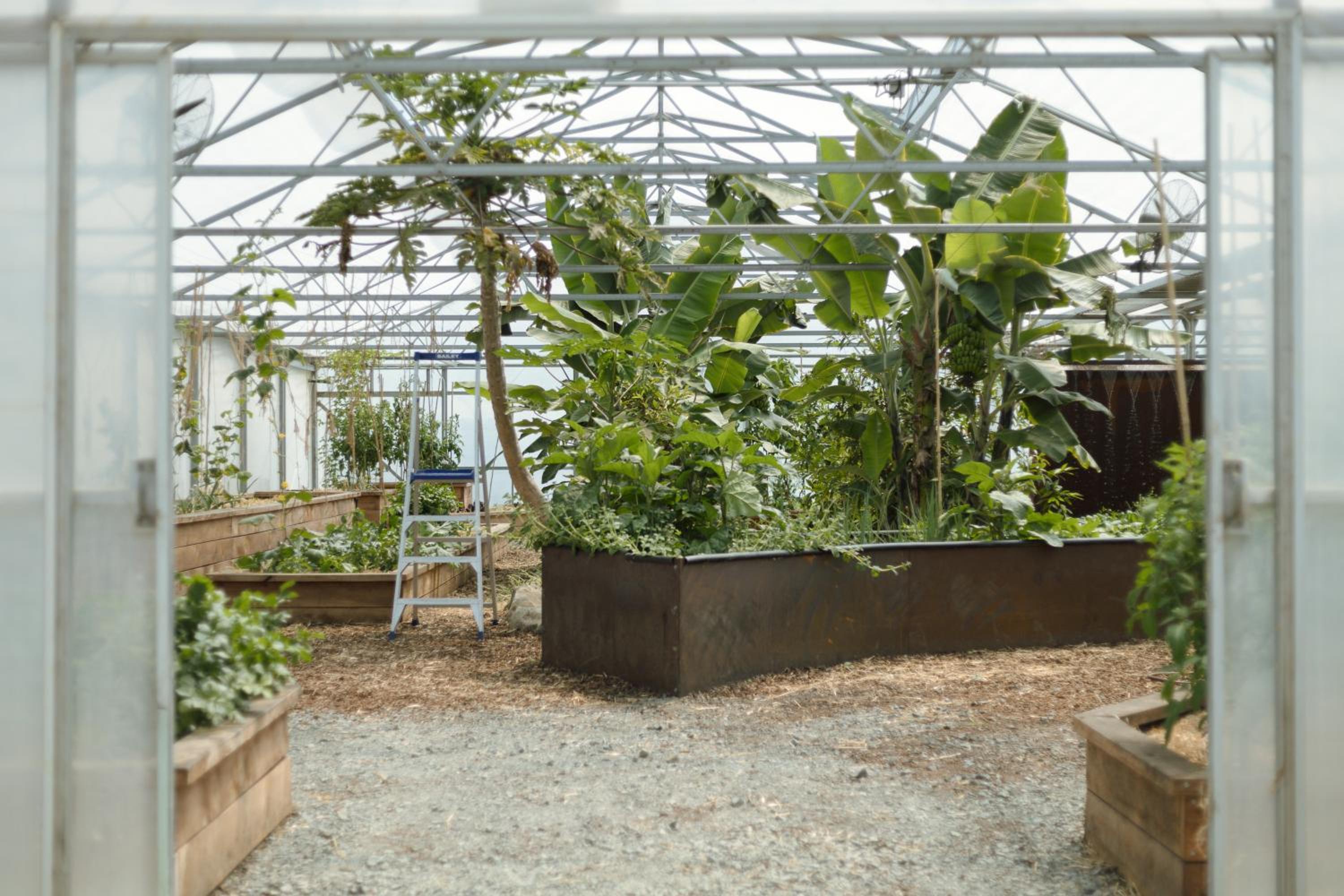 Photo 31