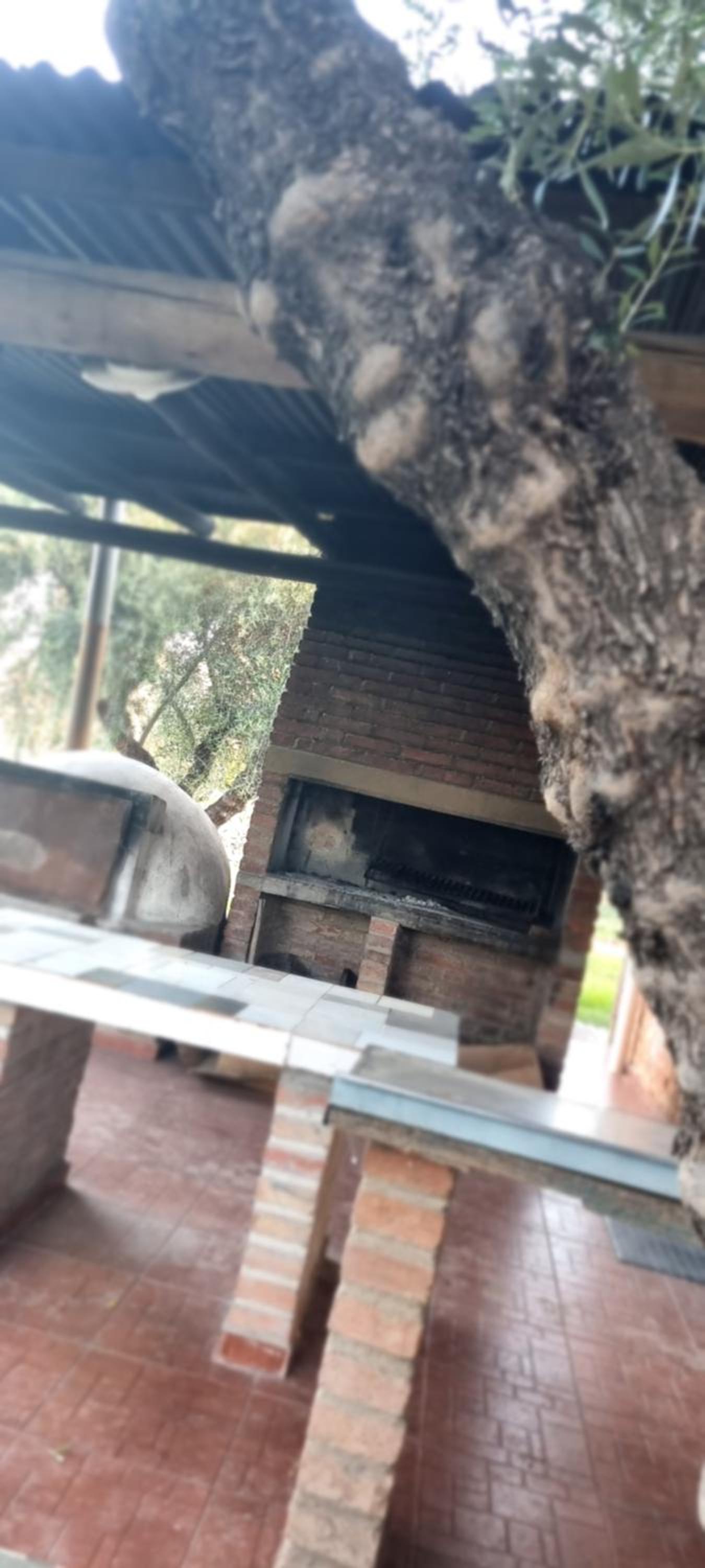 Cabaña Olive Garden