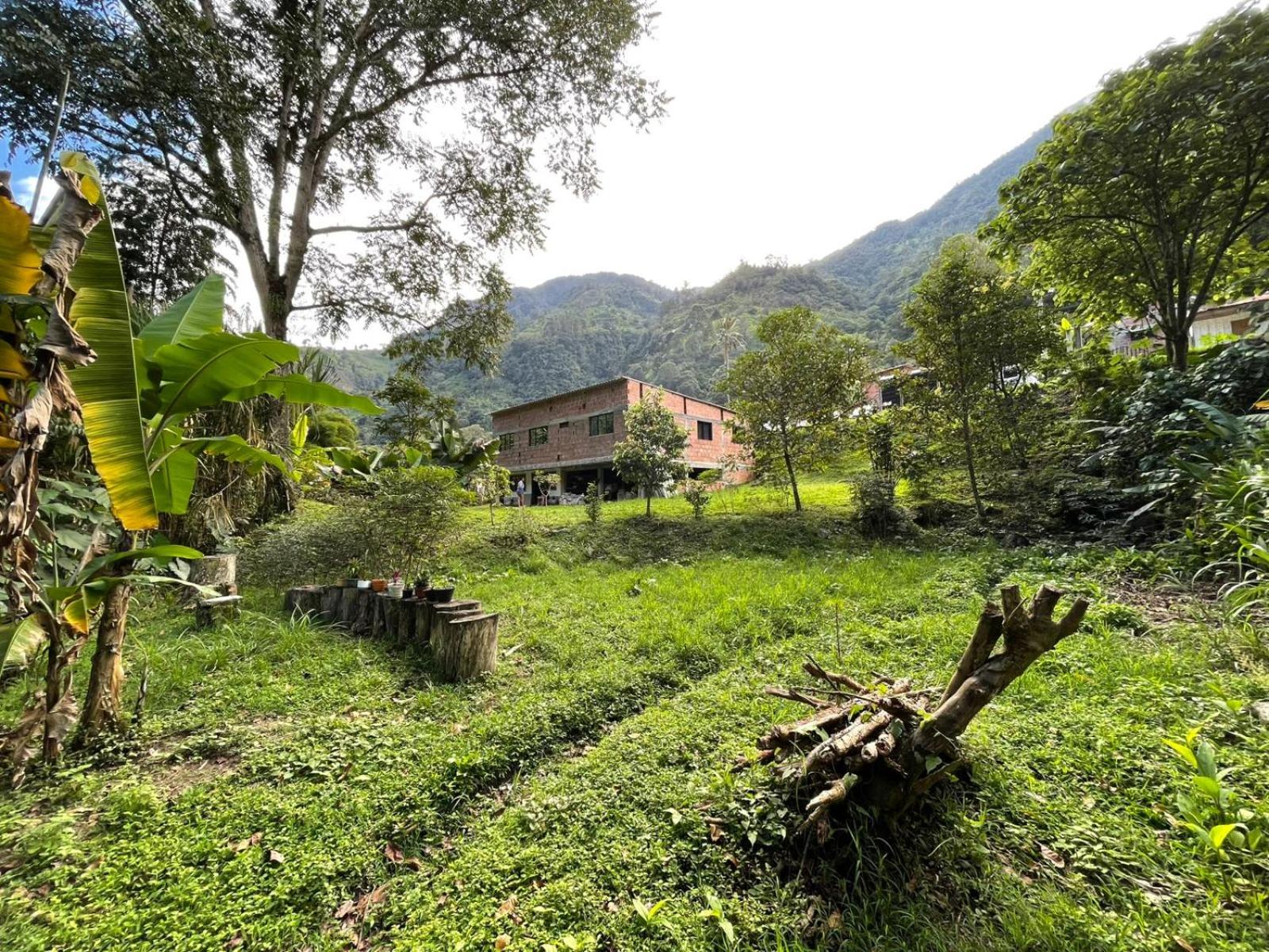 Olimpo Estadía IBAGUÉ
