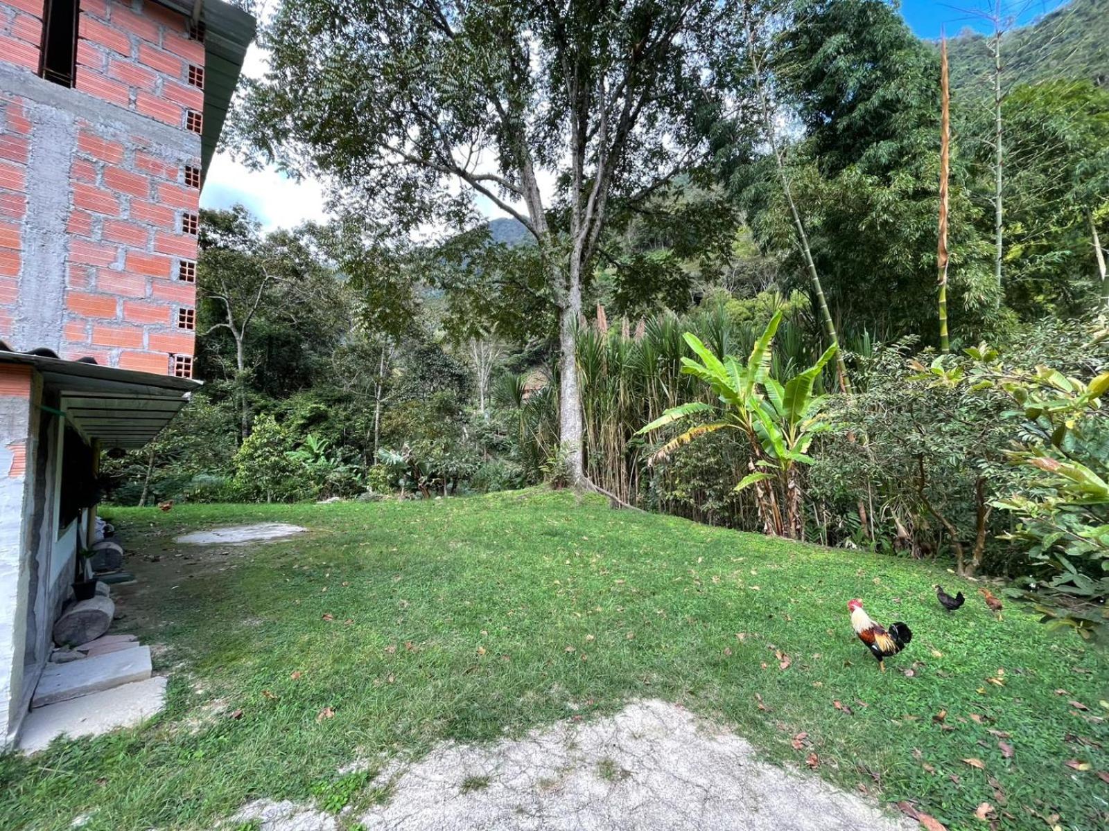 Olimpo Estadía IBAGUÉ