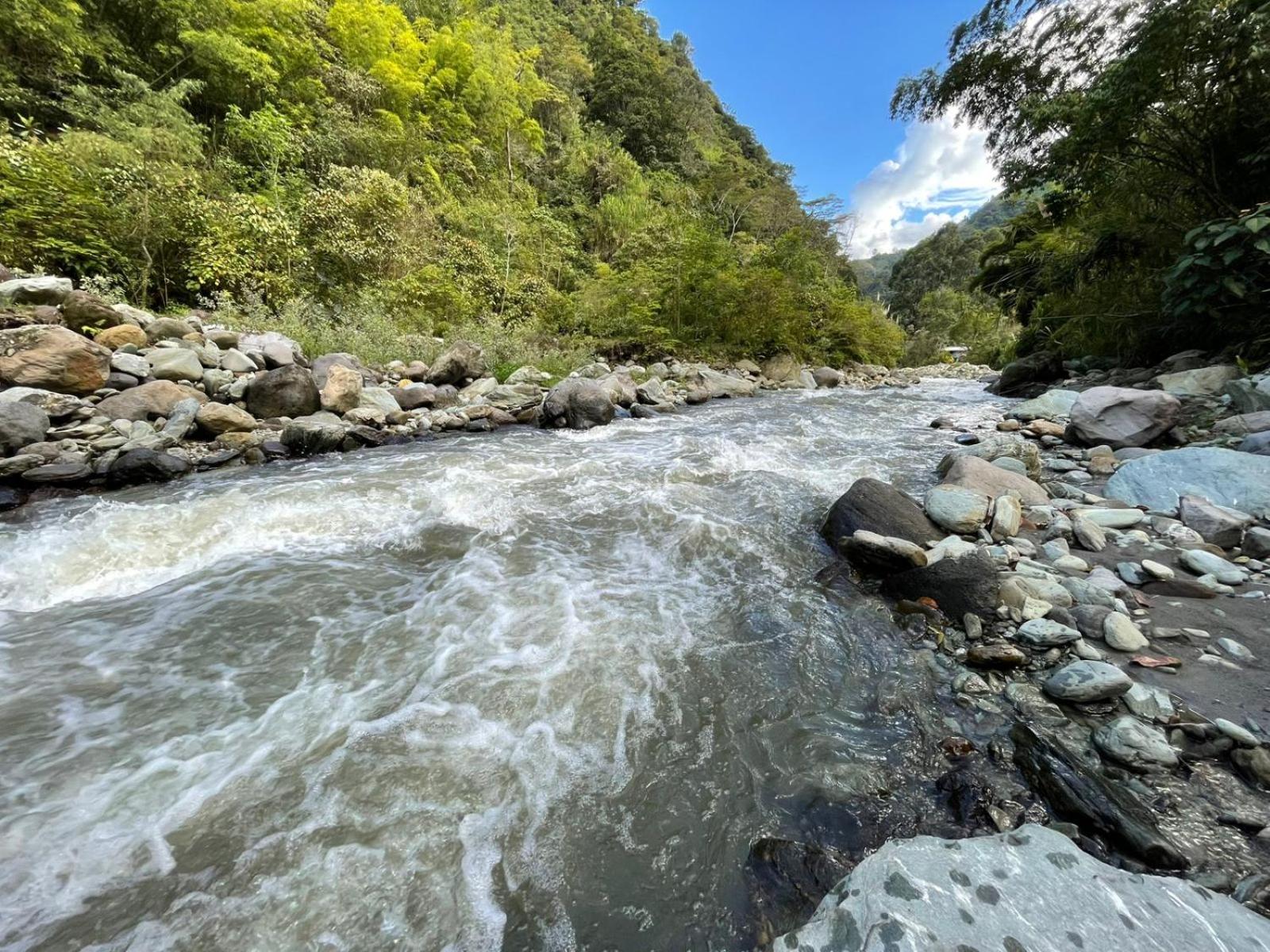 Olimpo Estadía IBAGUÉ