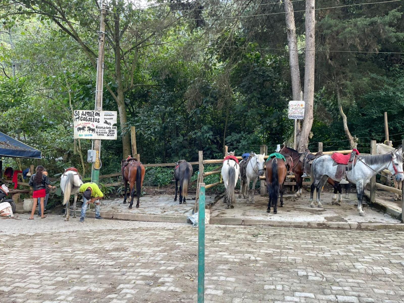 Olimpo Estadía IBAGUÉ