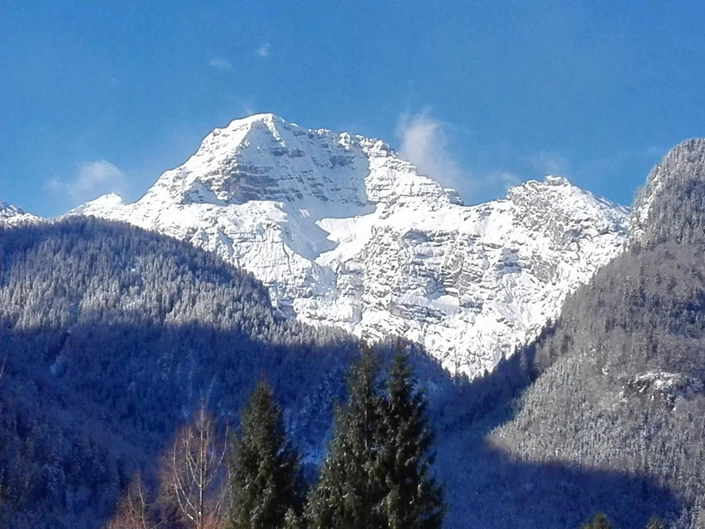 Pension Wildental