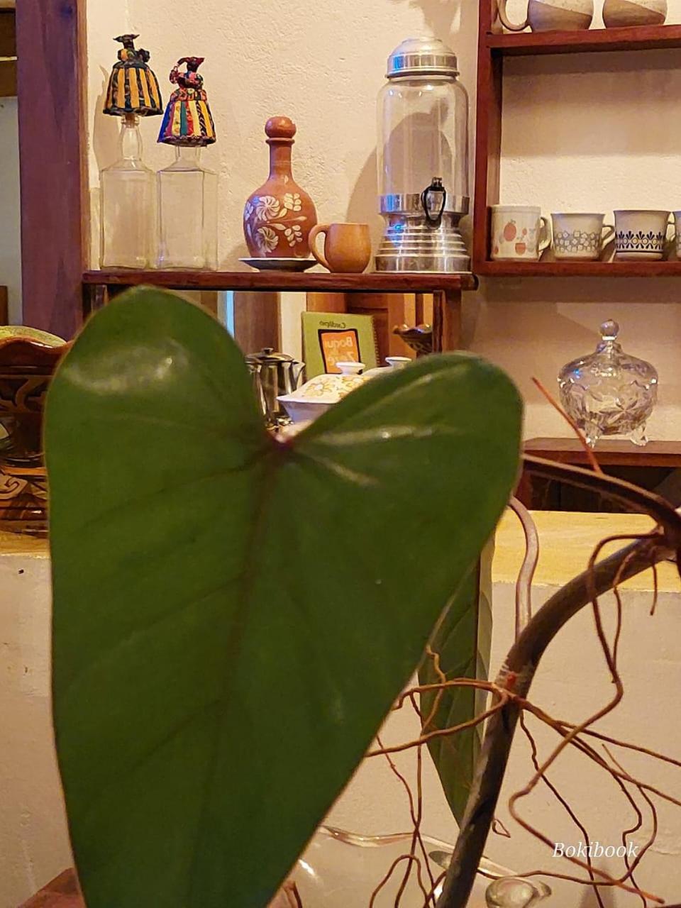other