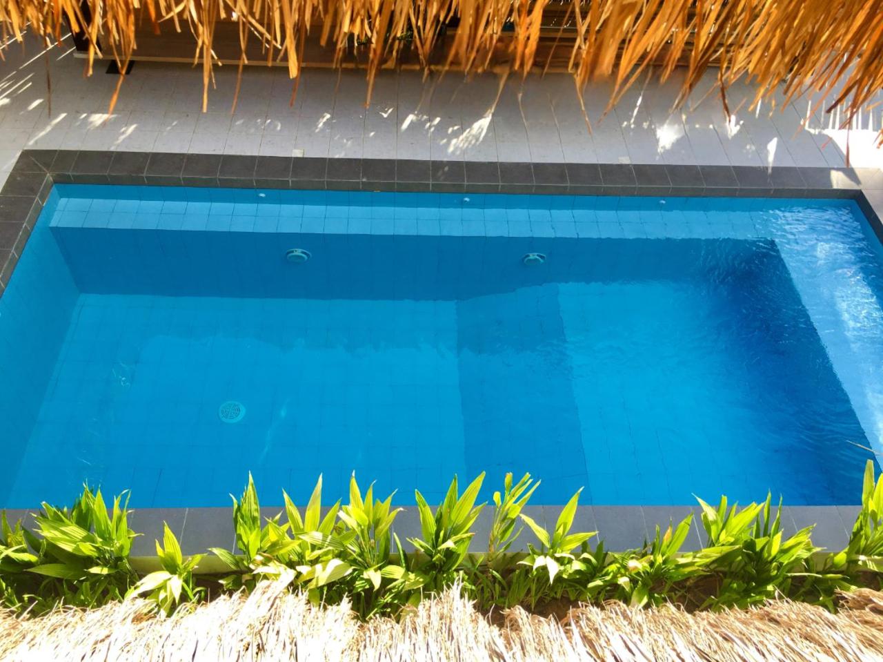 Terra Siargao