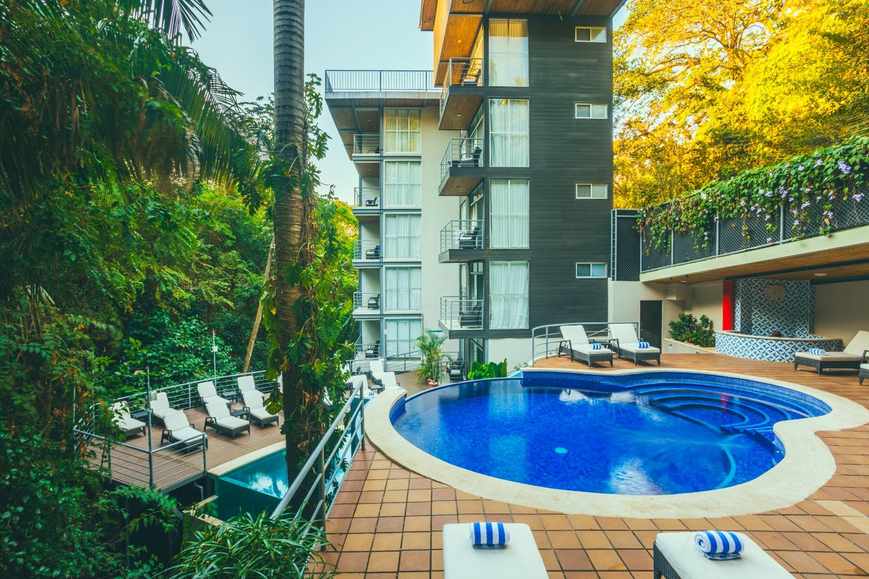 Hotel Jungle Vista Boutique Hotel - Image 1