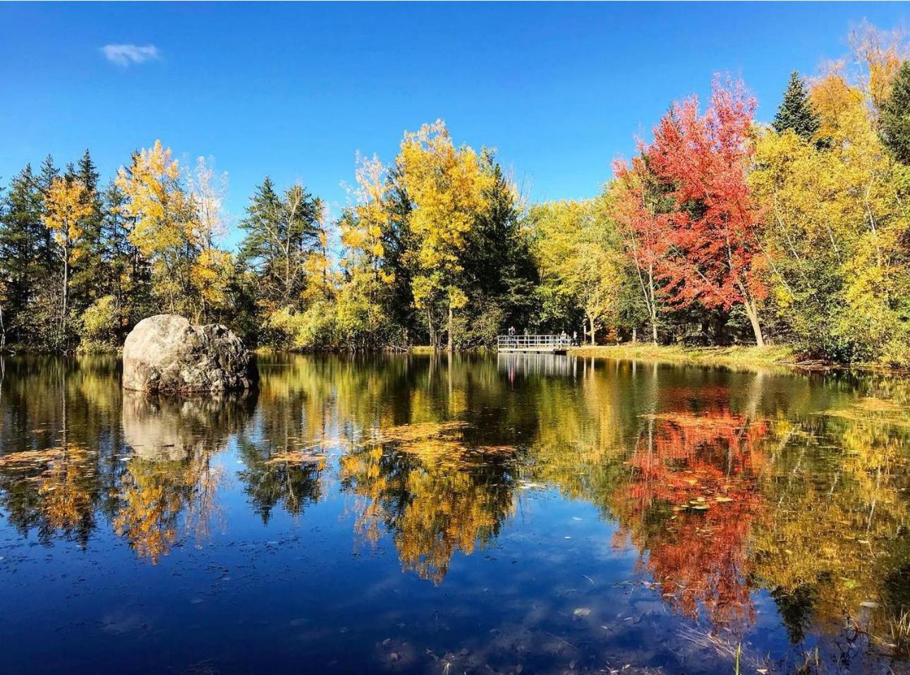 Villa Prestigia à 20 min de Montréal
