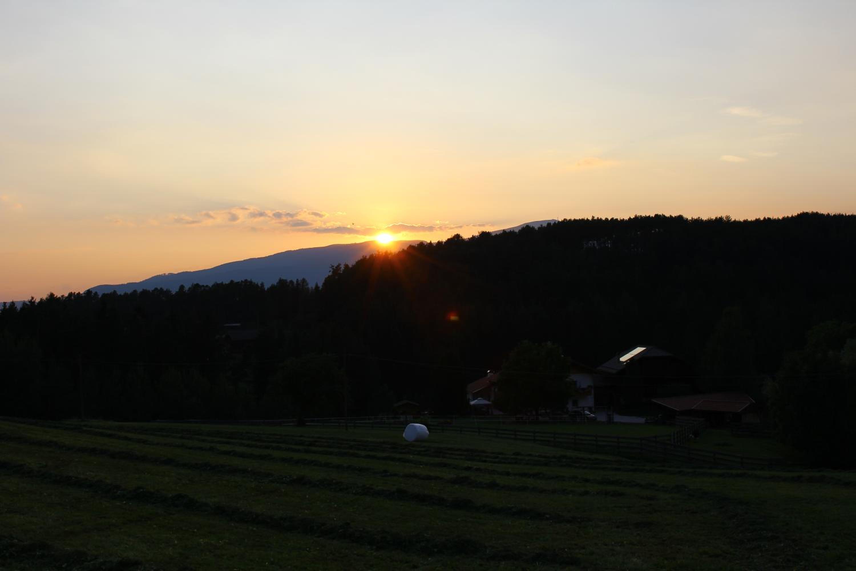 Photo 39