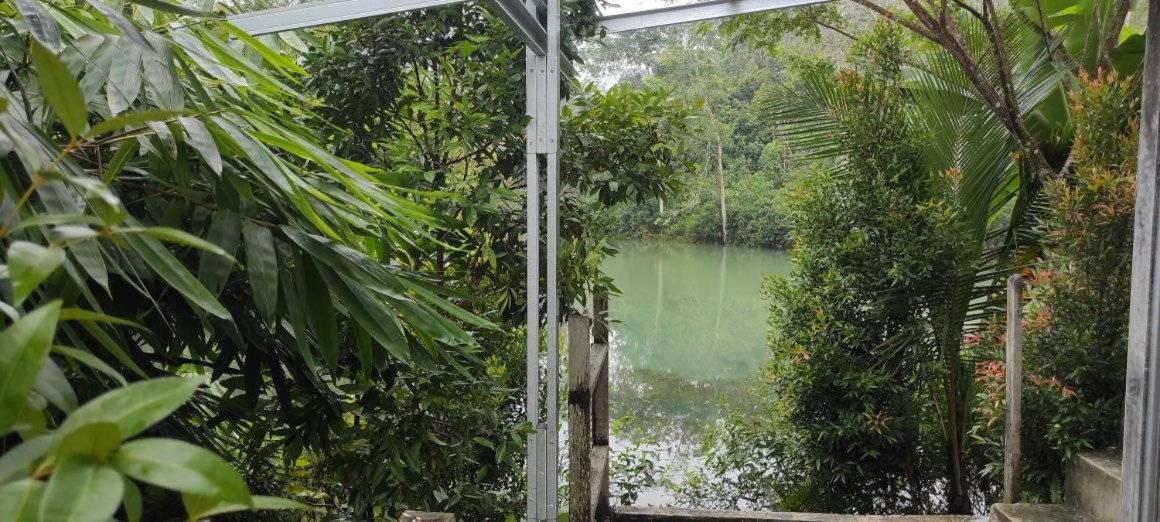 Embun Pagi Alami view 4