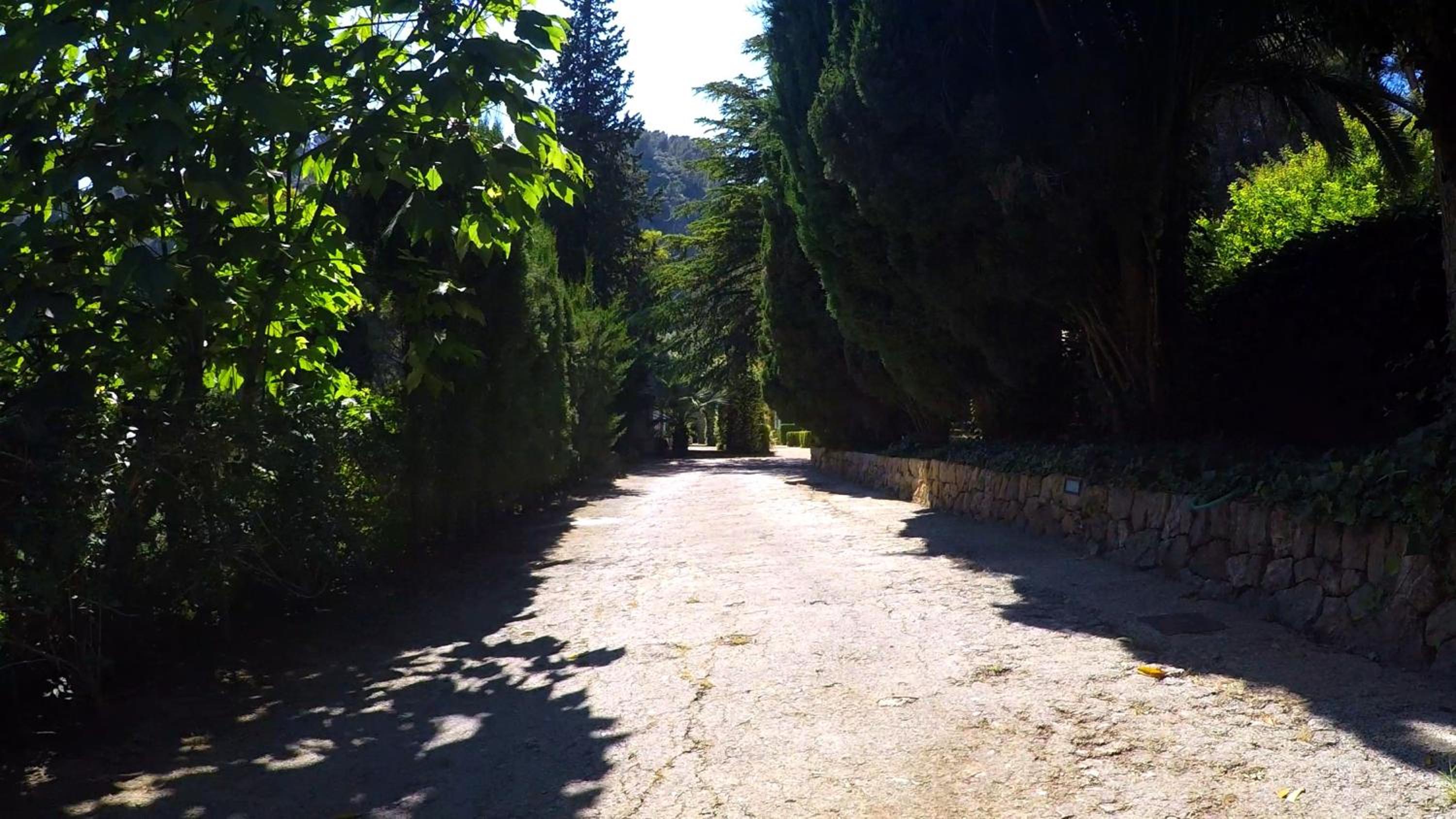 Alfabia Nou Agroturismo