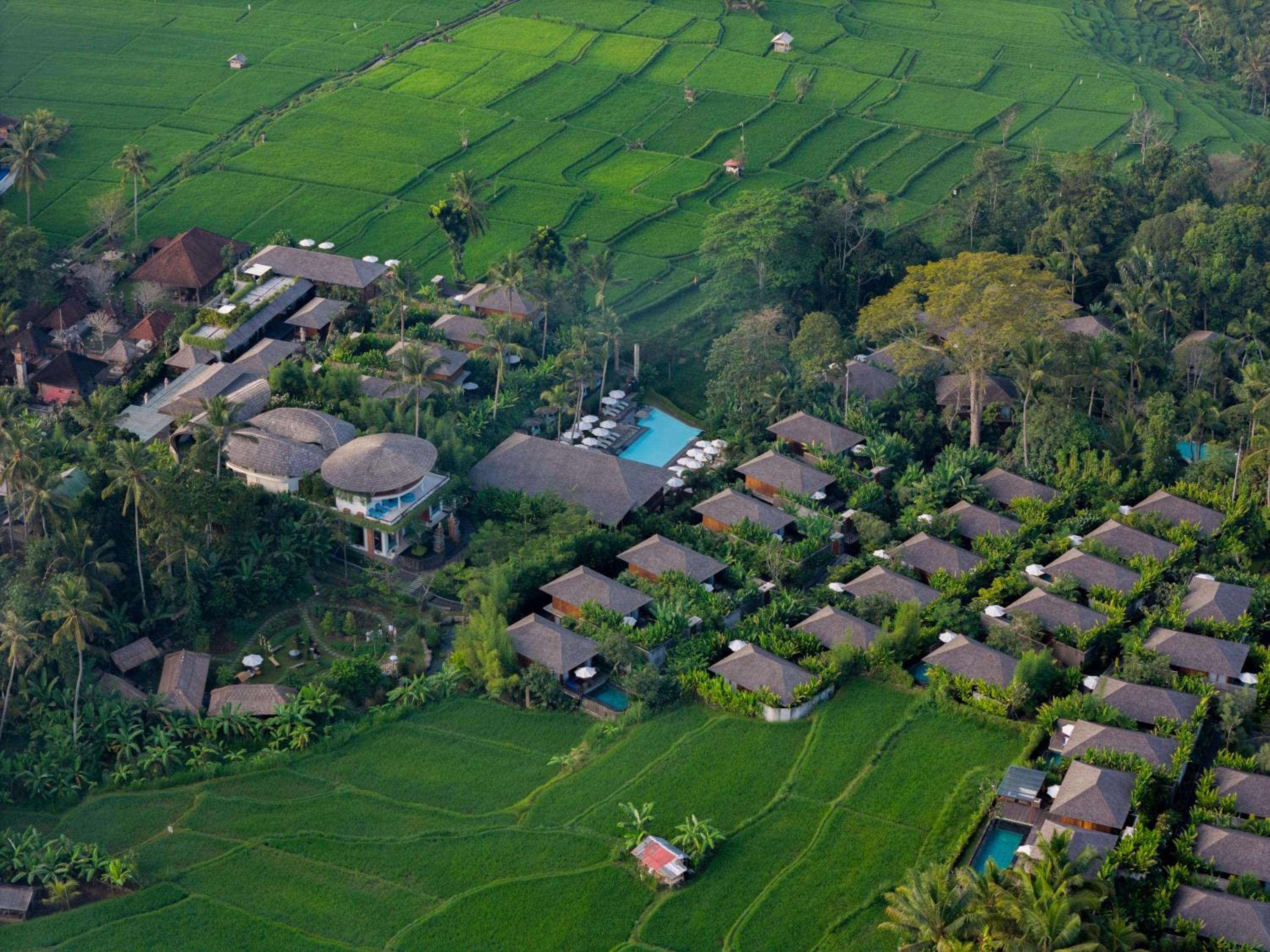Hotel Kappa Senses Ubud
