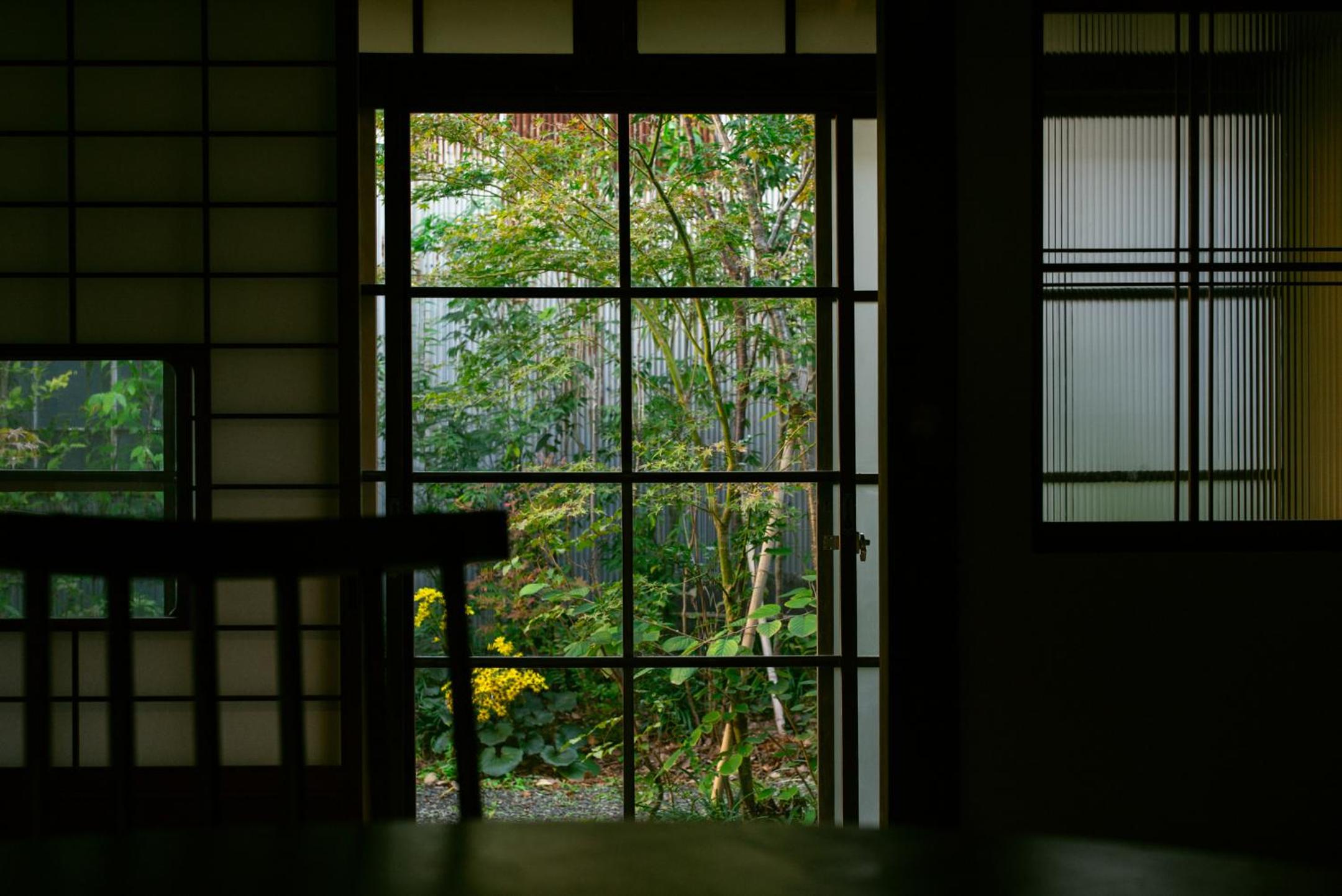 Photo 50