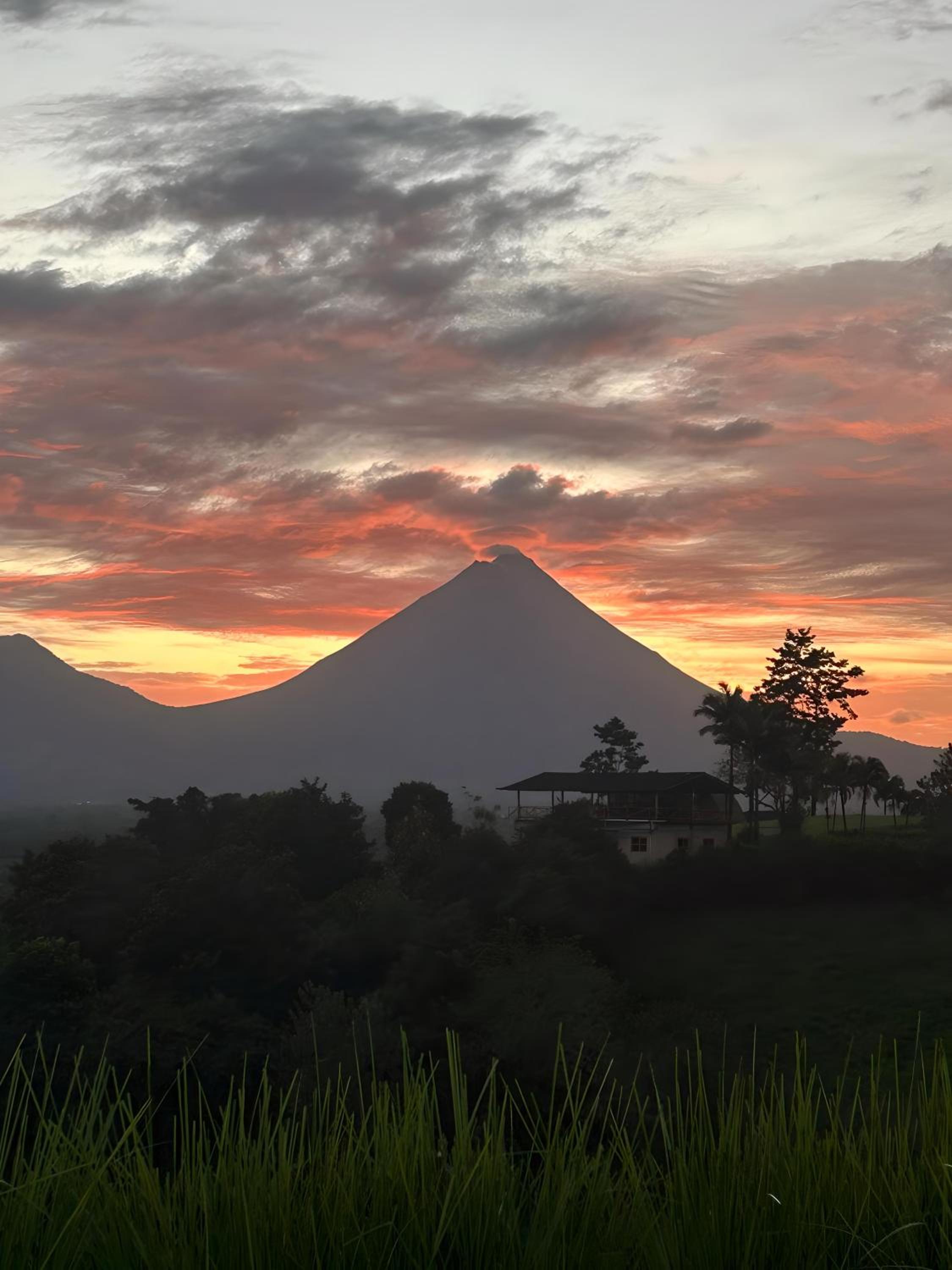 Serene Hills