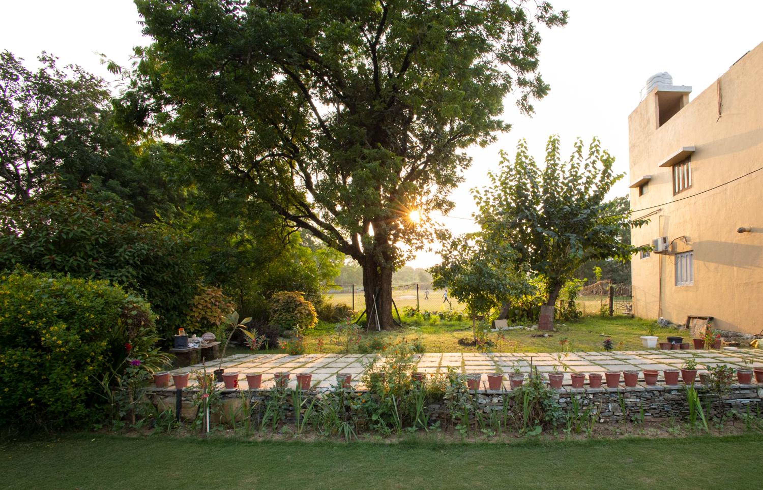 Photo 51