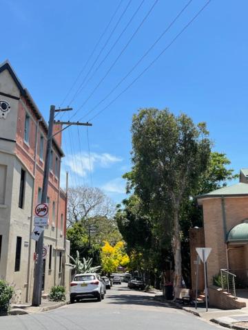 Cozy Studio apartment in Chippendale Darlington Sydney