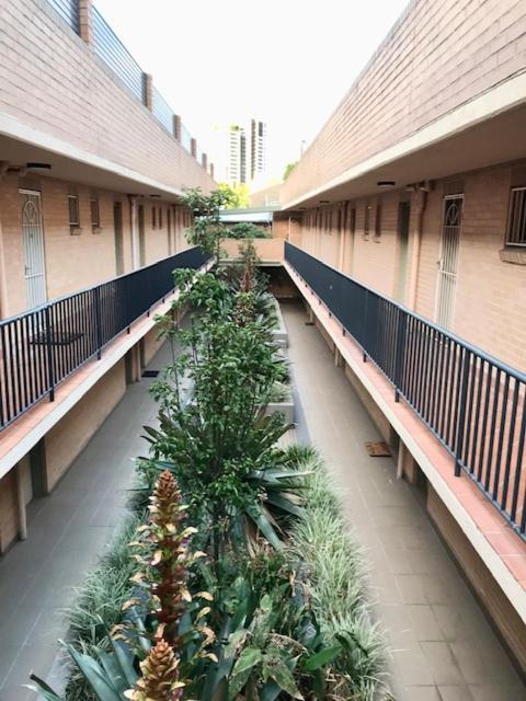 Cozy Studio apartment in Chippendale Darlington Sydney