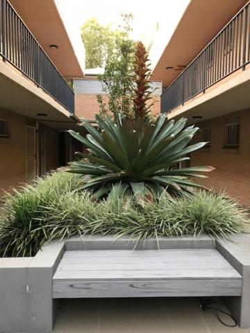 Cozy Studio apartment in Chippendale Darlington Sydney