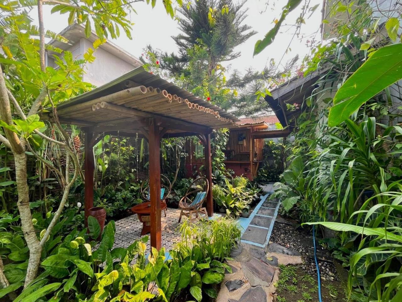 Frangipani garden villa, Senggigi - 4