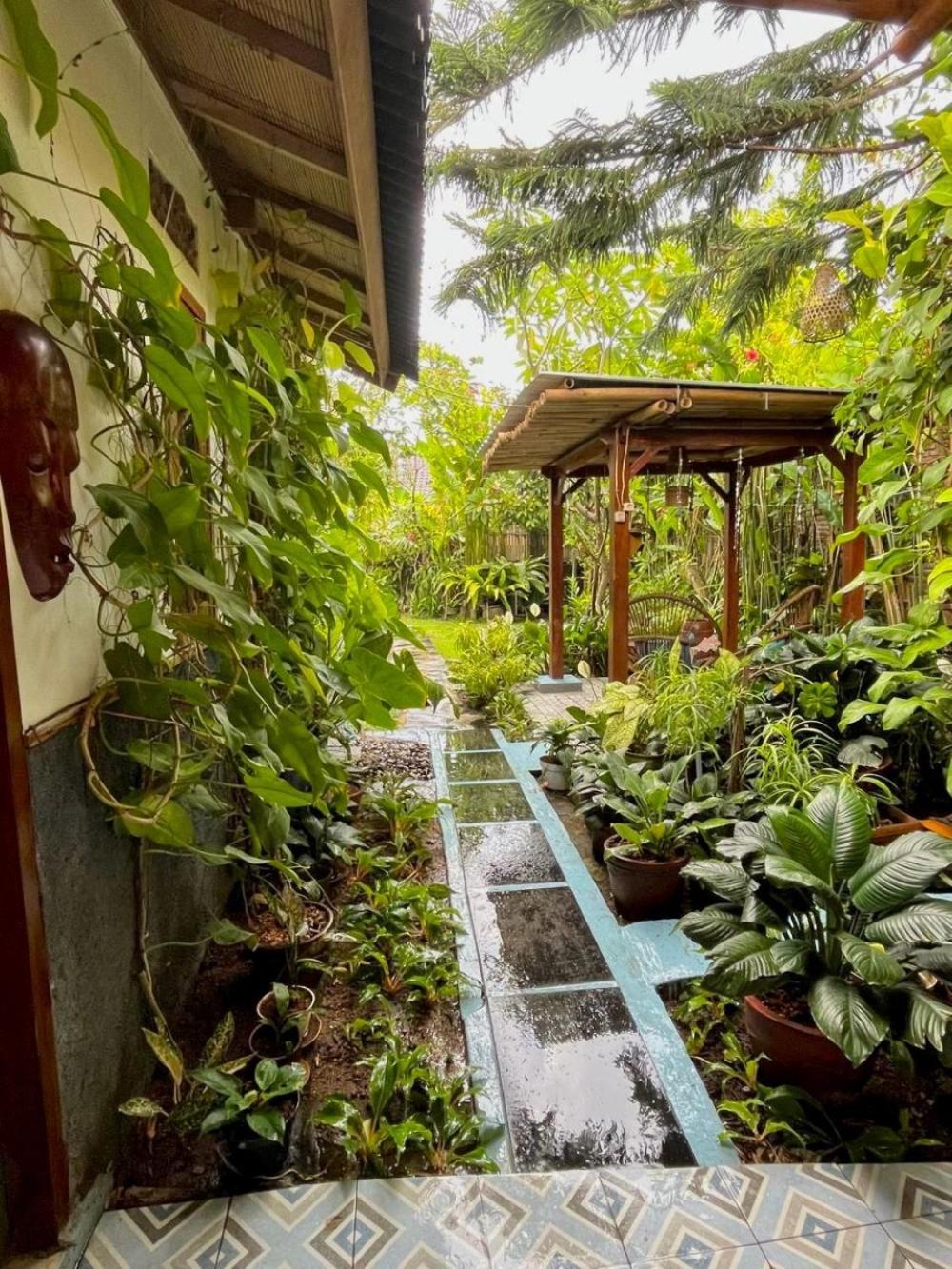 Frangipani garden villa, Senggigi - 14
