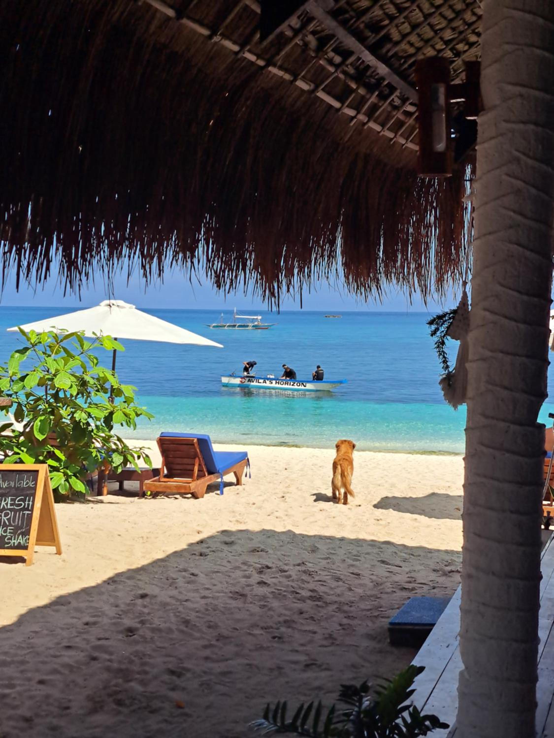 Avila's Horizon Dive Resort Malapascua view 3