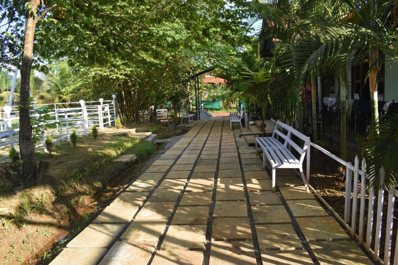 Jungle mist Homestay