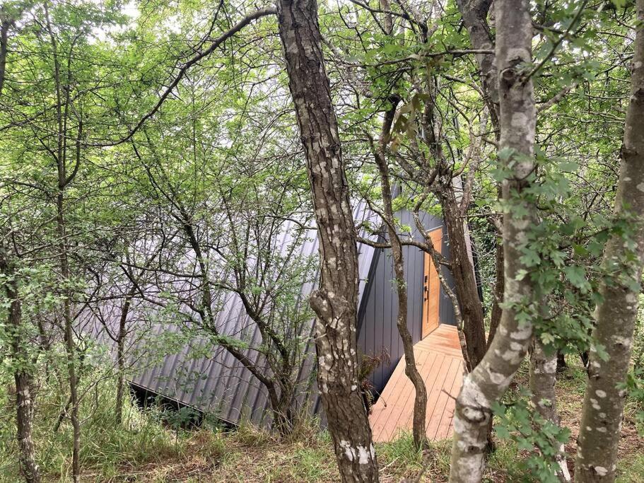 The Eco Cabin Tasmania - Cedar Hot Tub