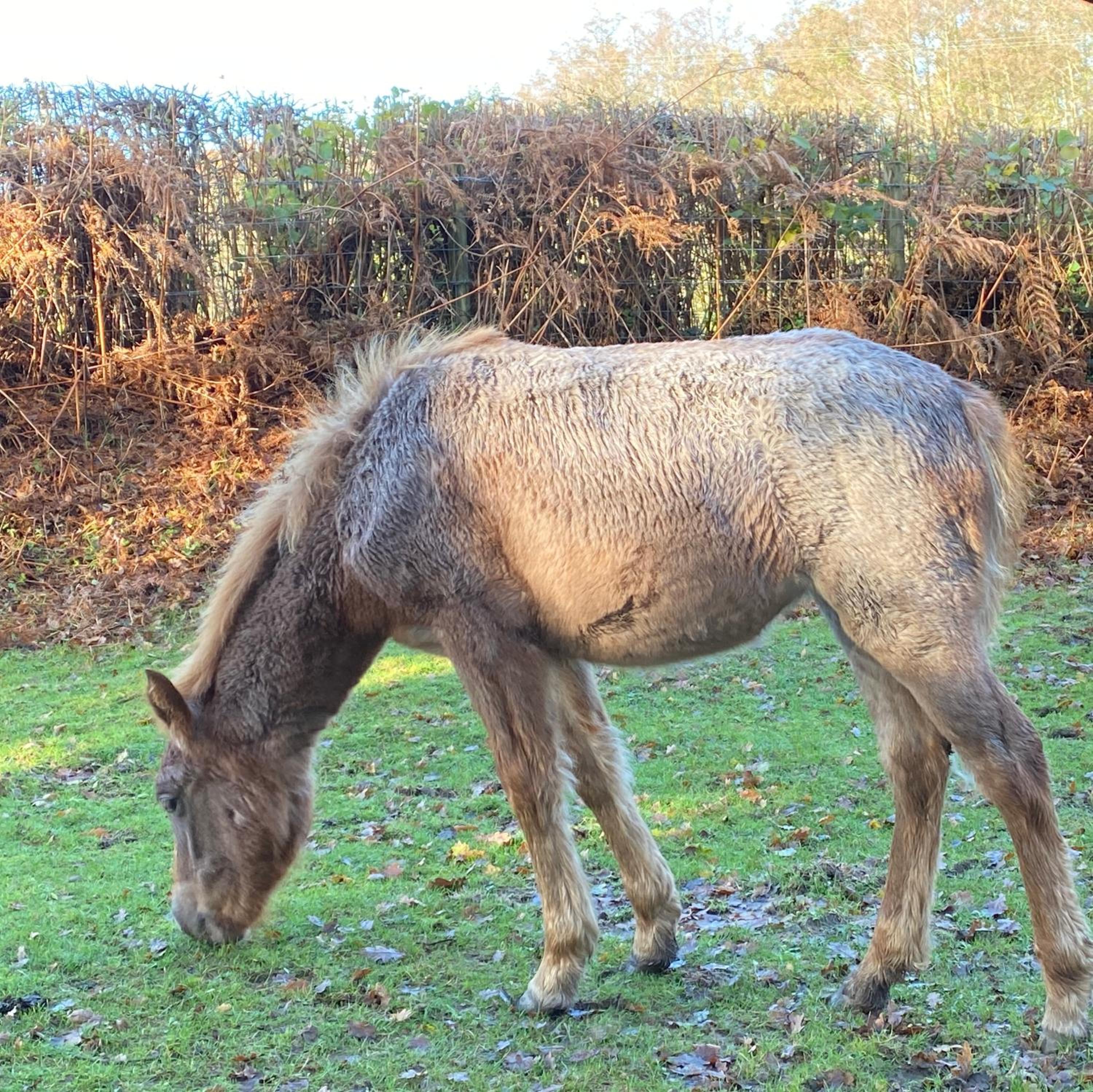 Good Vibes