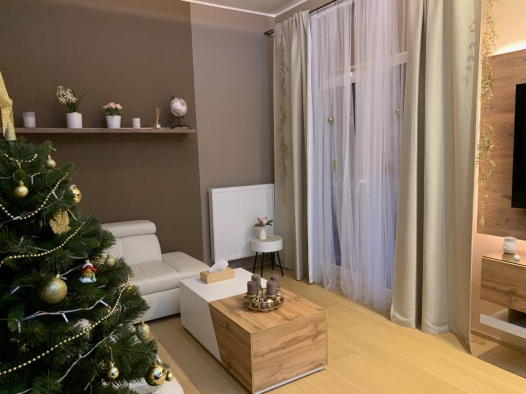 Apartment Dagmar Burešové