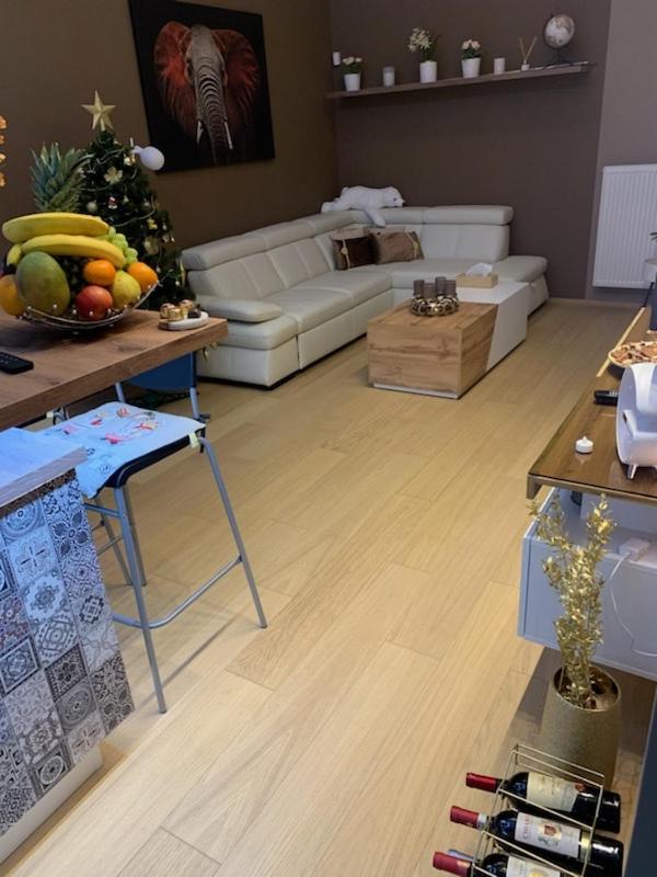 Apartment Dagmar Burešové