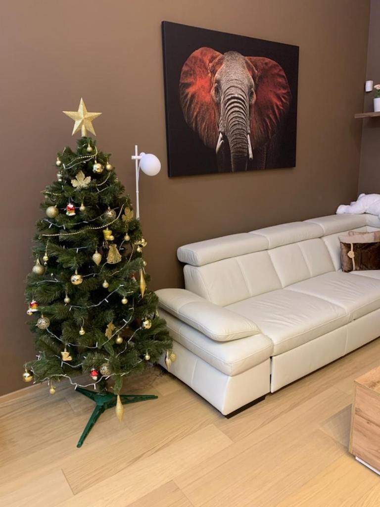 Apartment Dagmar Burešové