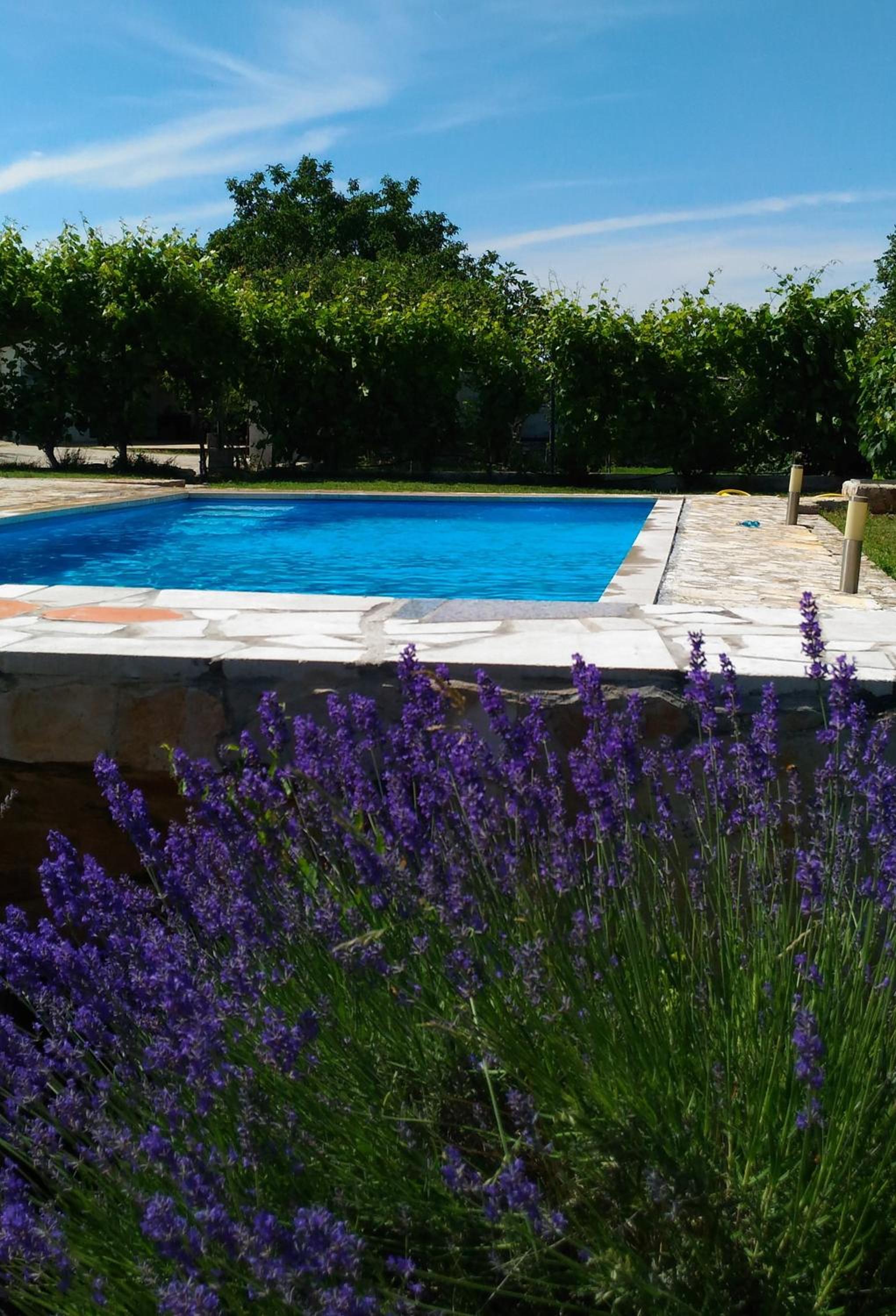 Holiday House Bruno view 3