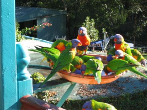 Riviera Bed & Breakfast
