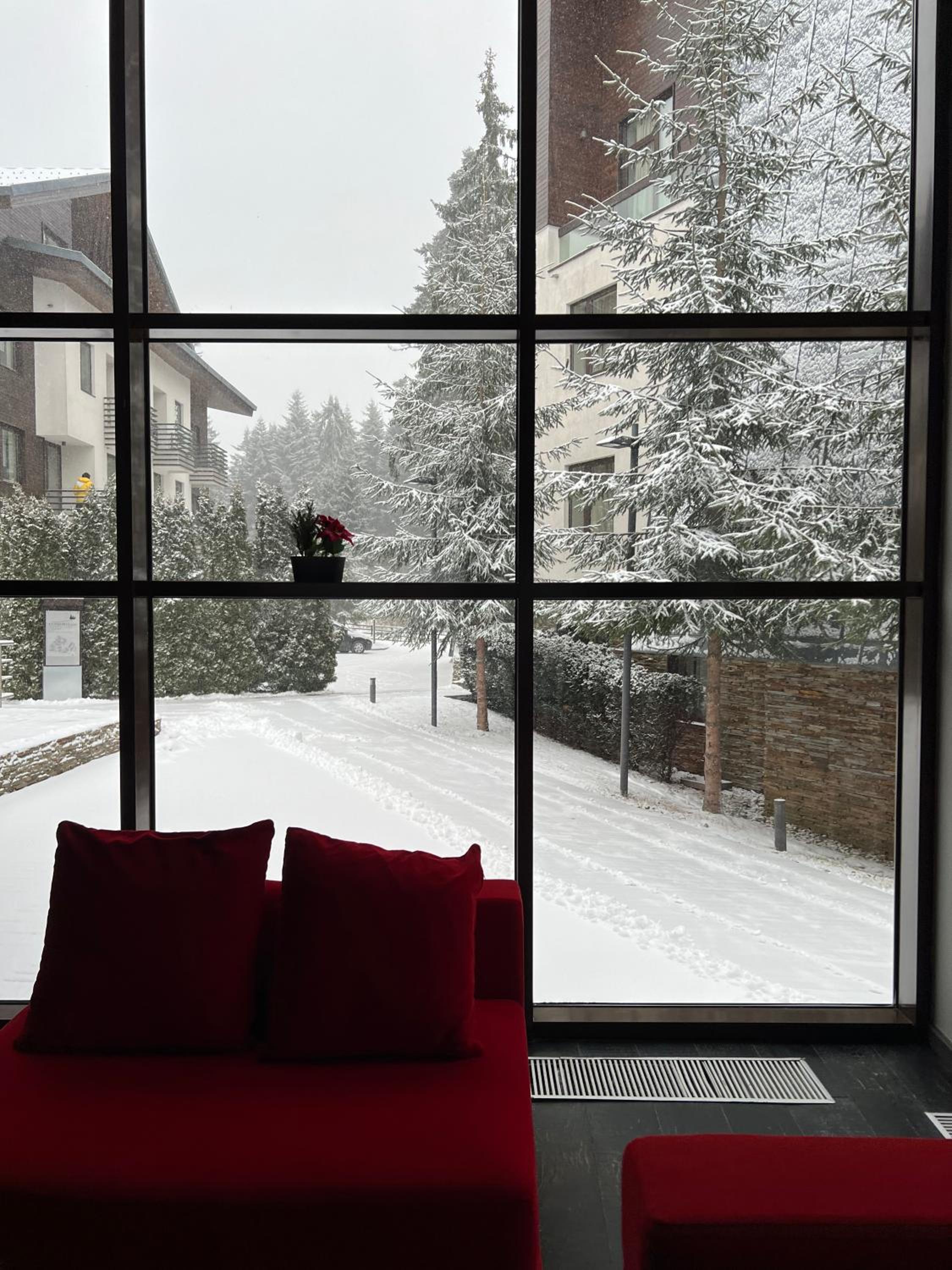 Large One Bedroom Flat - Mountain Bliss