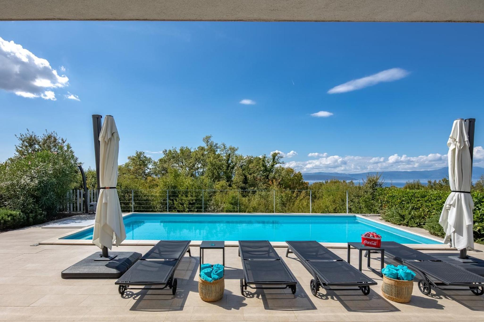 Villa LUXOR with heated pool view 5