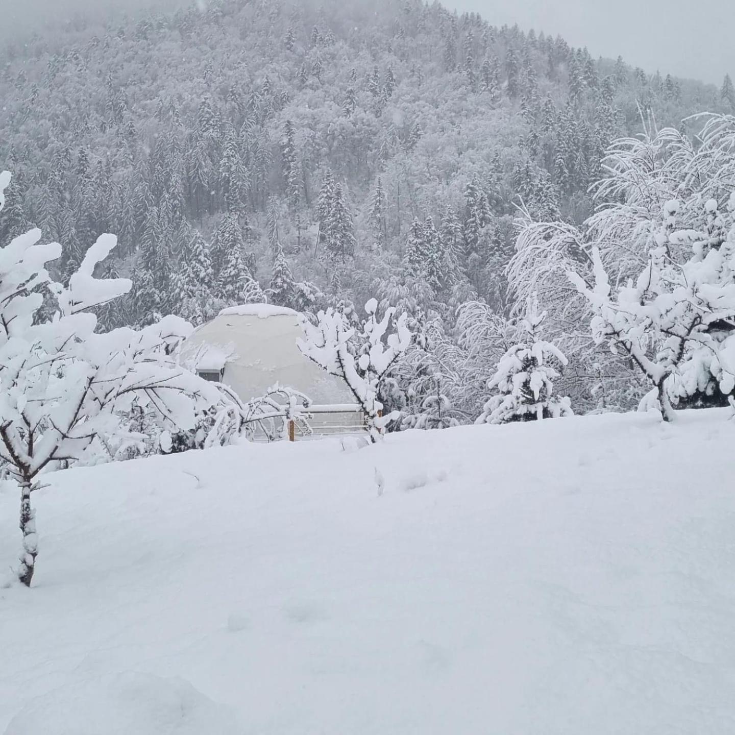 Zenzia Glamping Adult Only