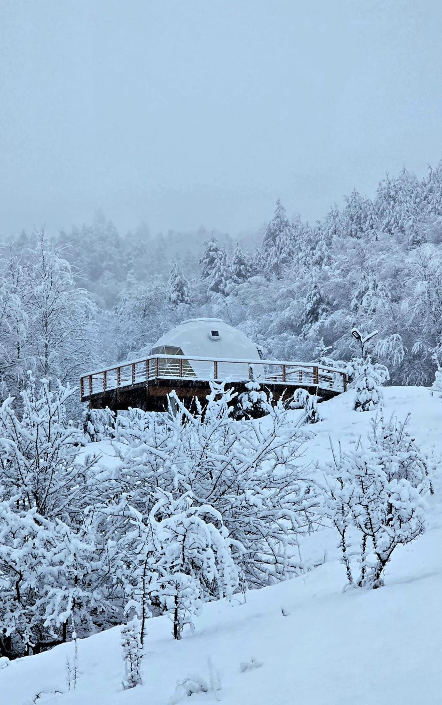 Zenzia Glamping Adult Only