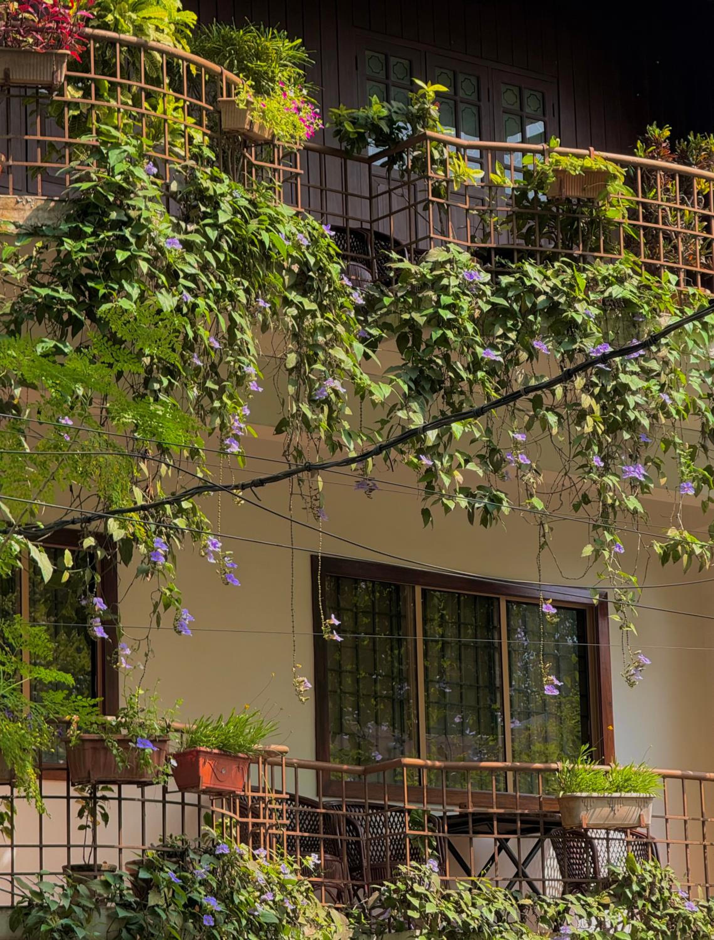 Reds Residency - Homestay