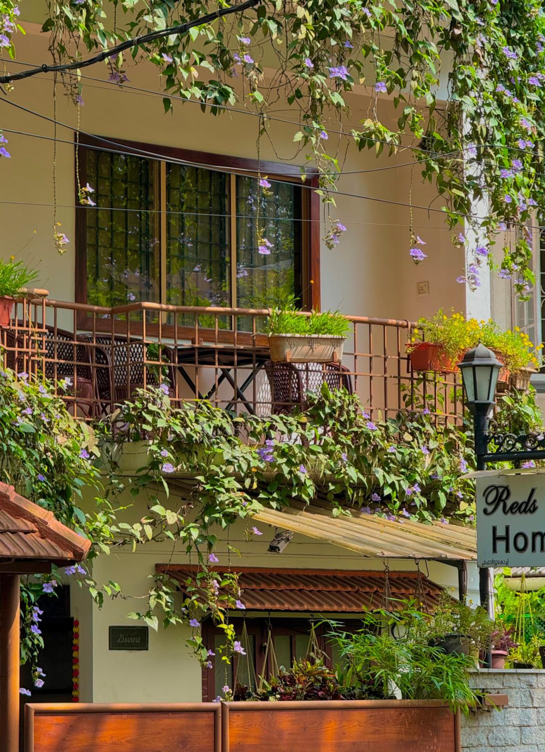 Reds Residency - Homestay