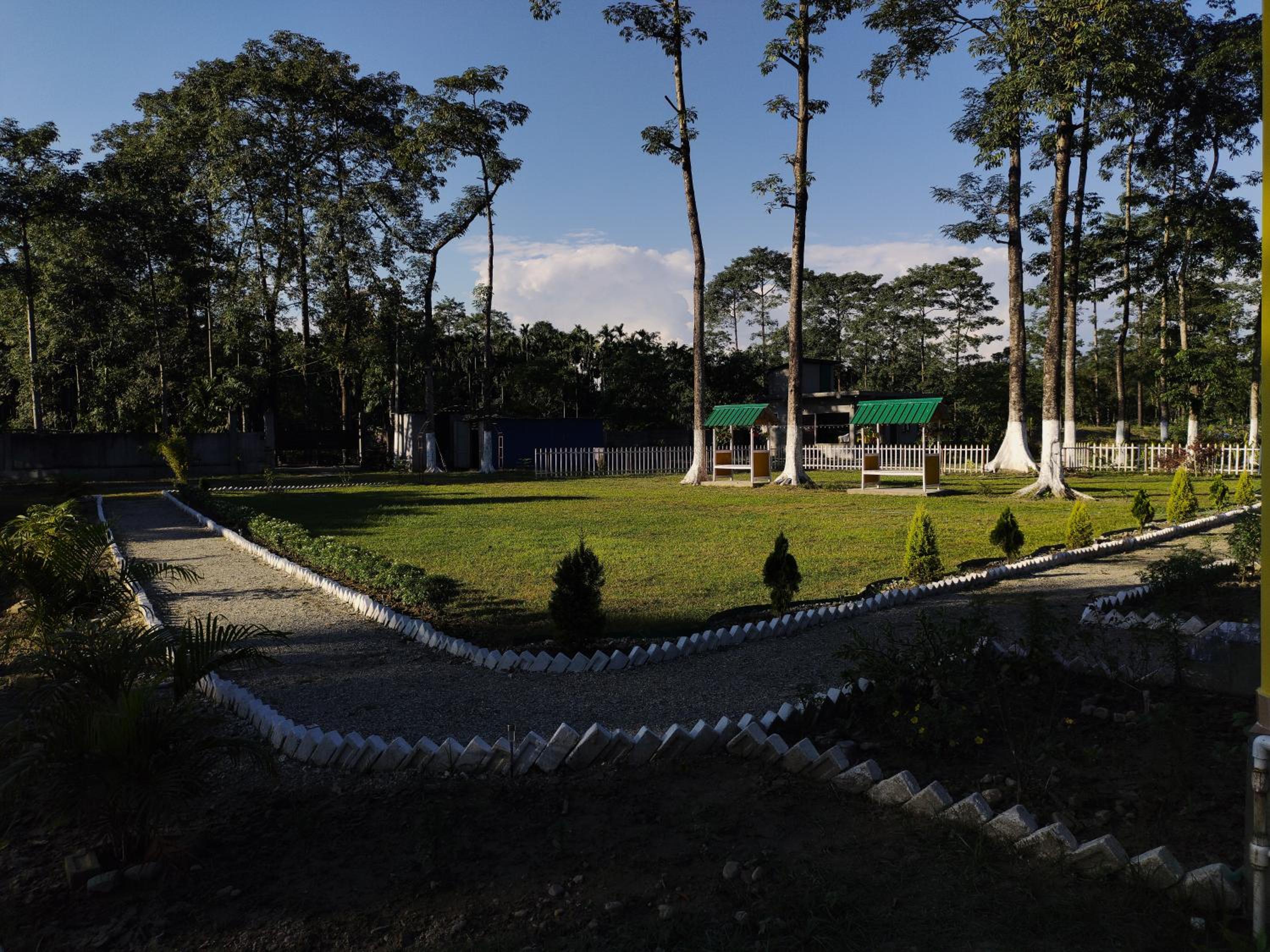 Wildwood Resort, Jaldapara view 4
