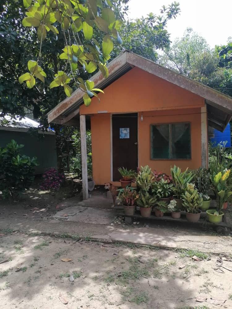 Sukau Sandipau Stay photo 3