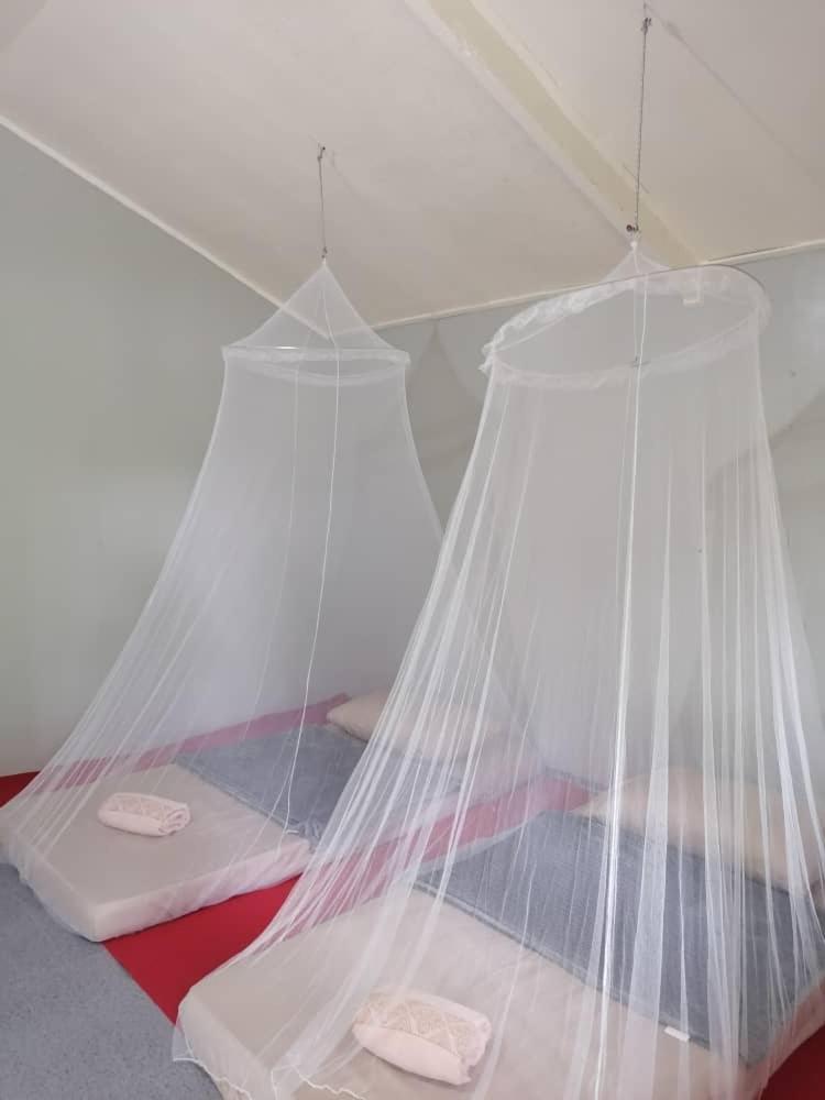 Sukau Sandipau Stay