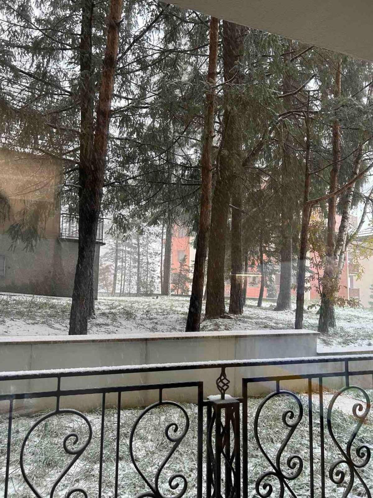 Apartman Stelavi Zlatibor view 5