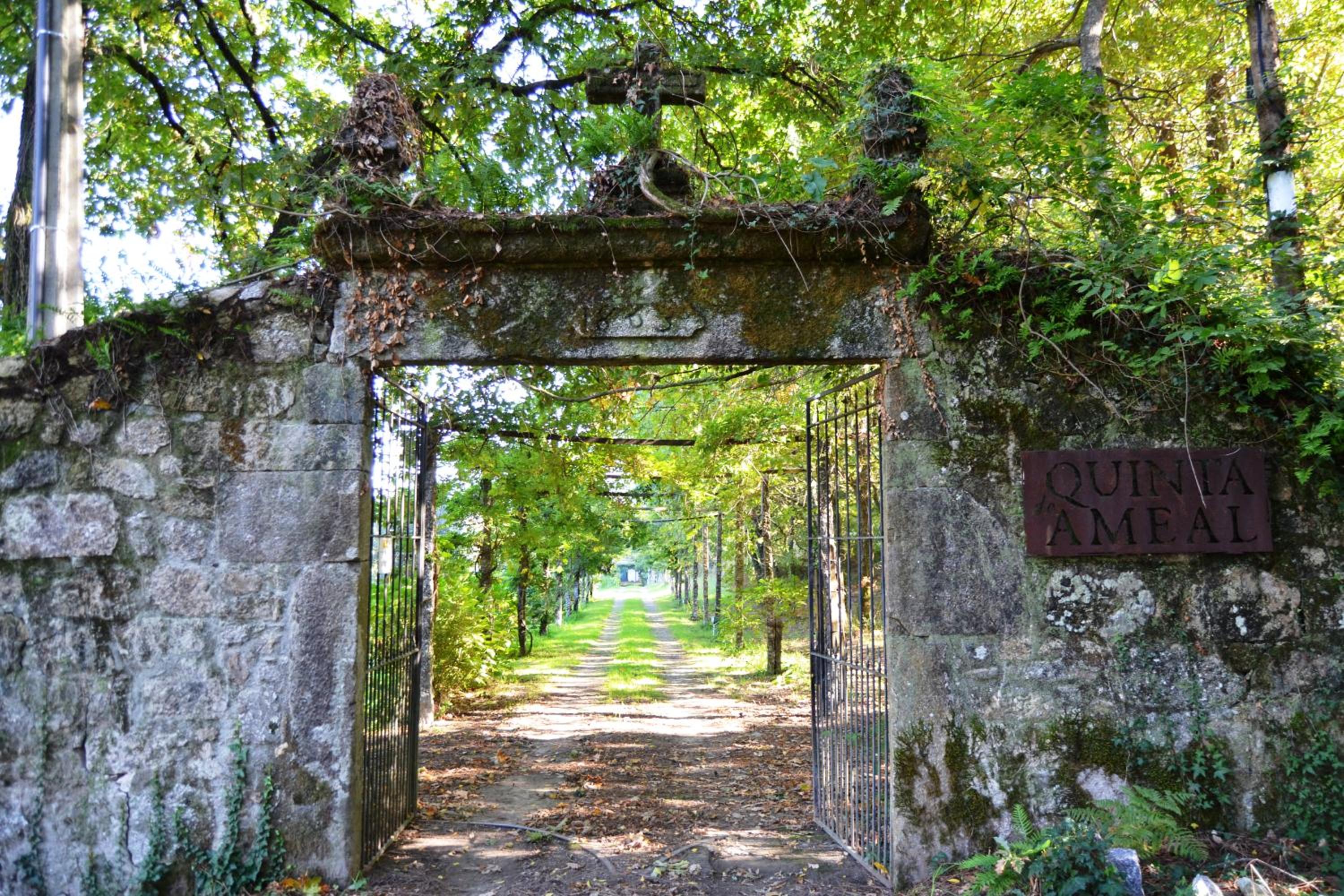 Wine Tourism - Quinta do Ameal