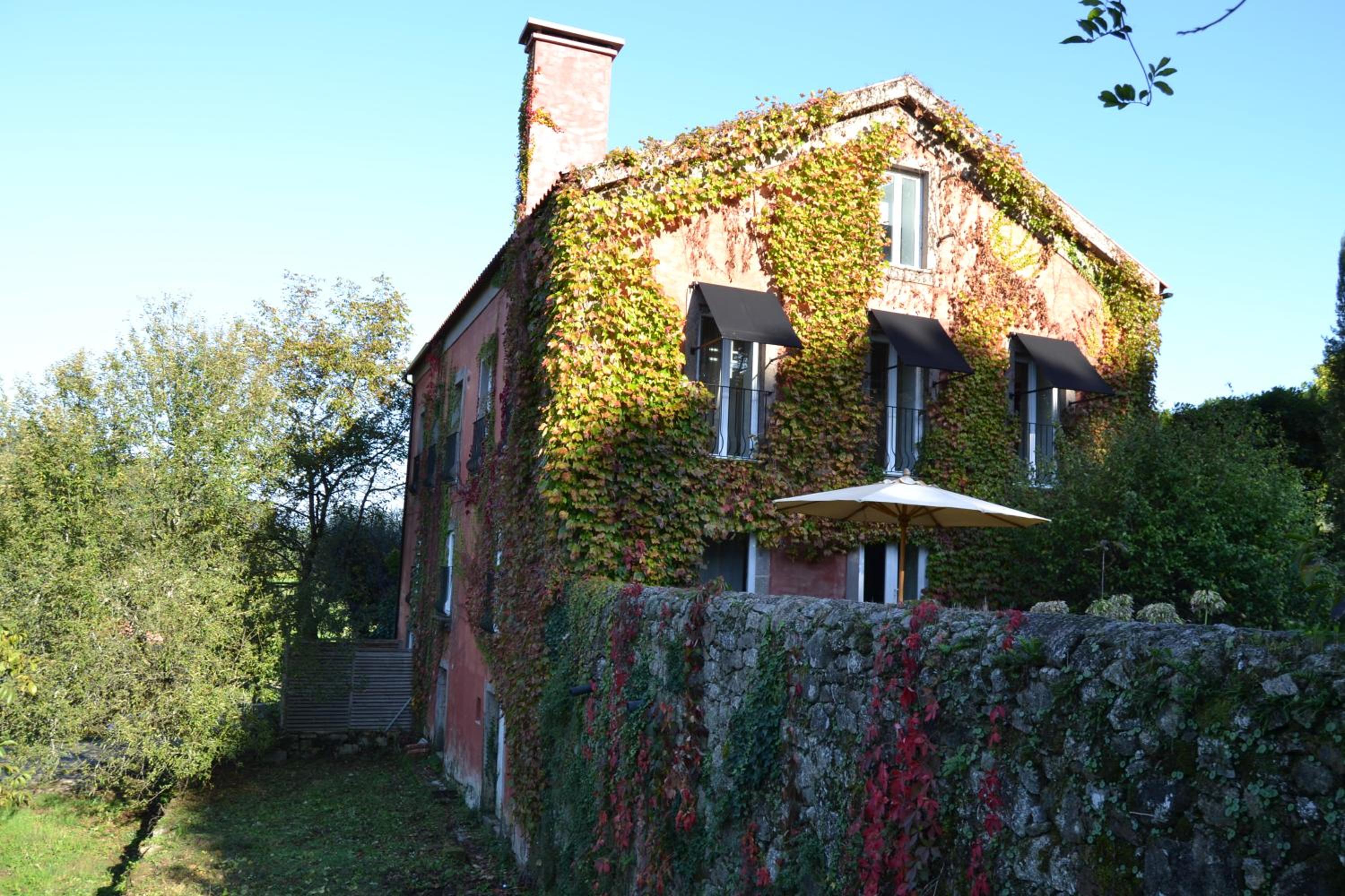 Wine Tourism - Quinta do Ameal