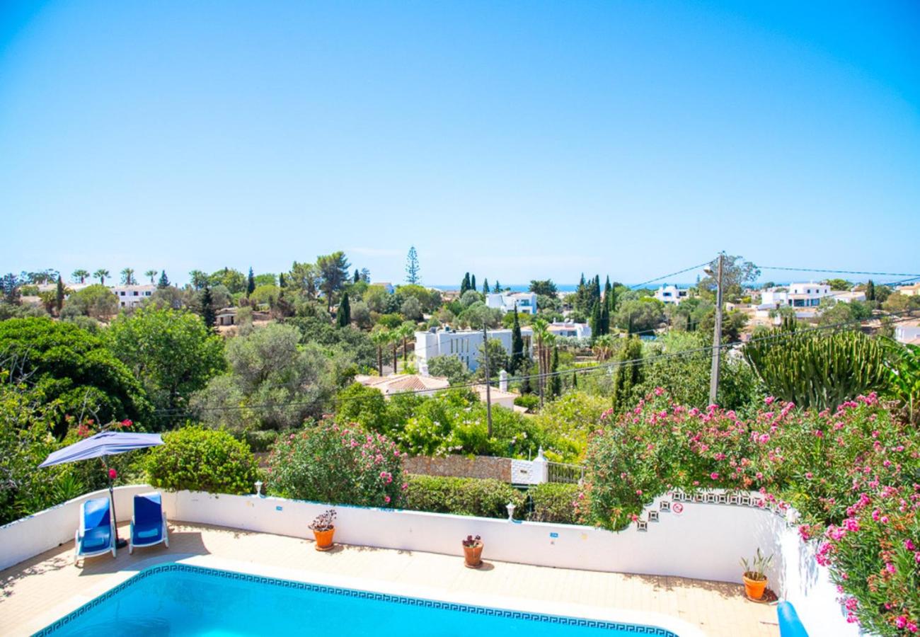 Casa Pazovida - Great 3-Bedroom Villa with Private Pool view 3