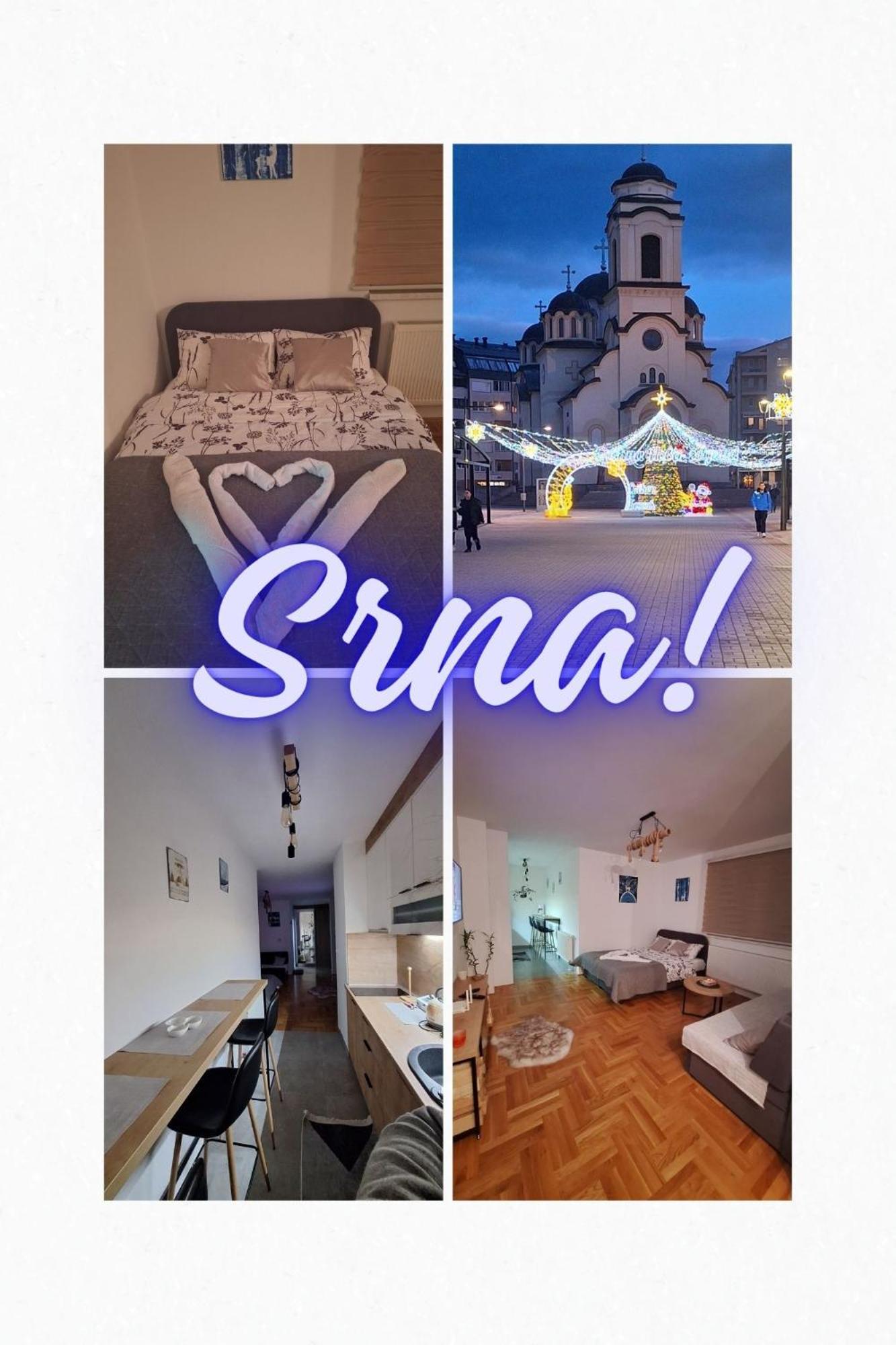 Apartman Srna Pale view 5