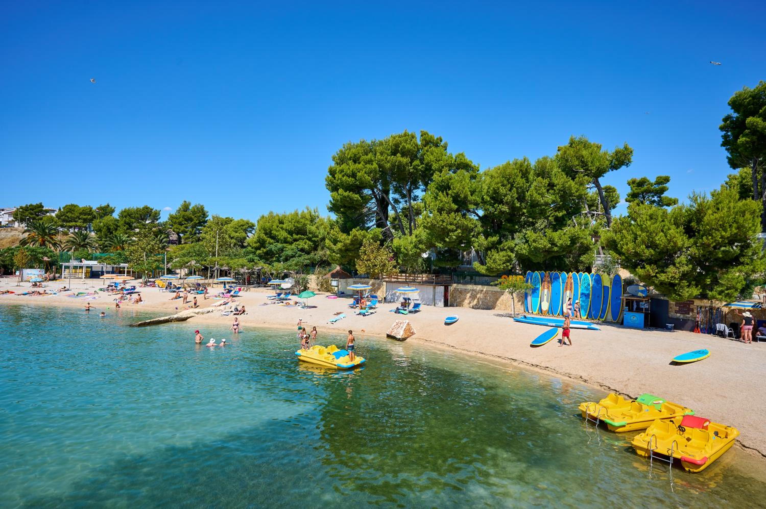 activities & amenities