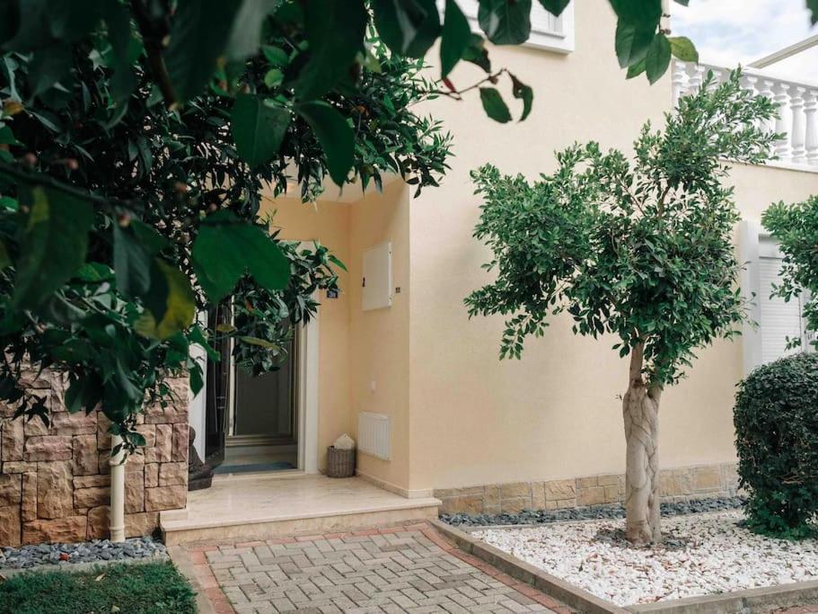 Tepe villa