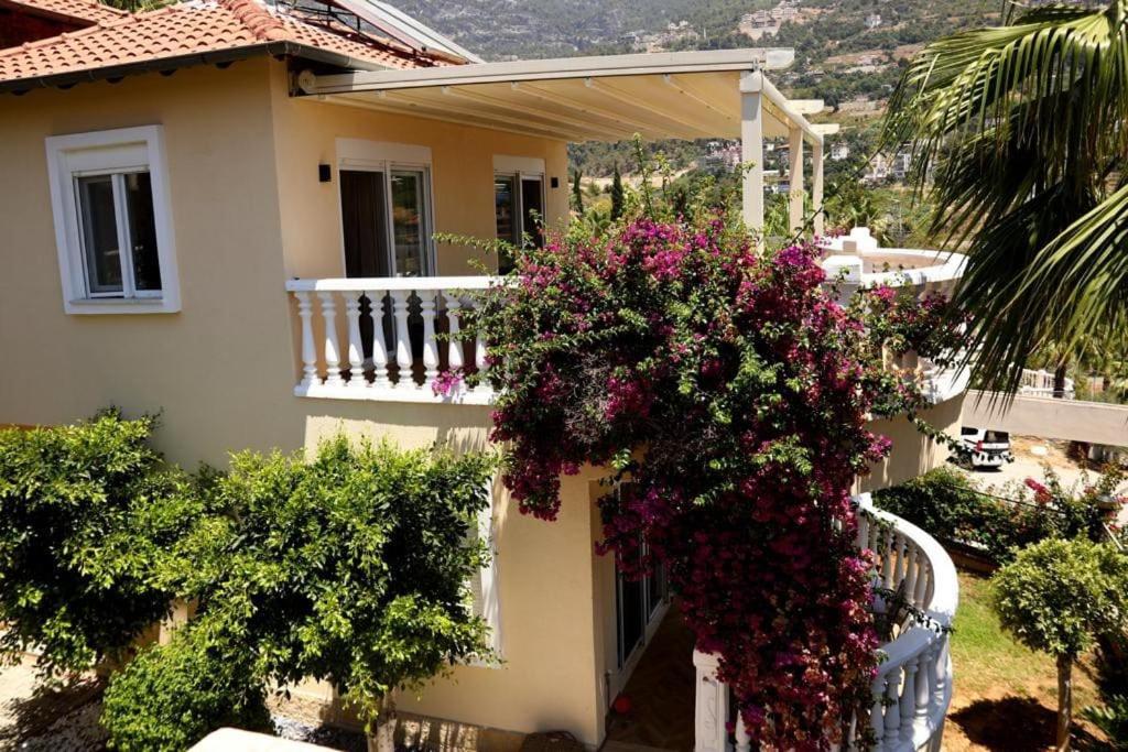 Tepe villa