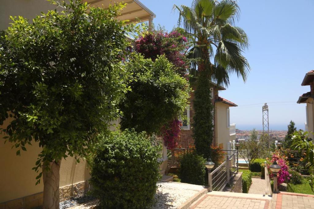 Tepe villa